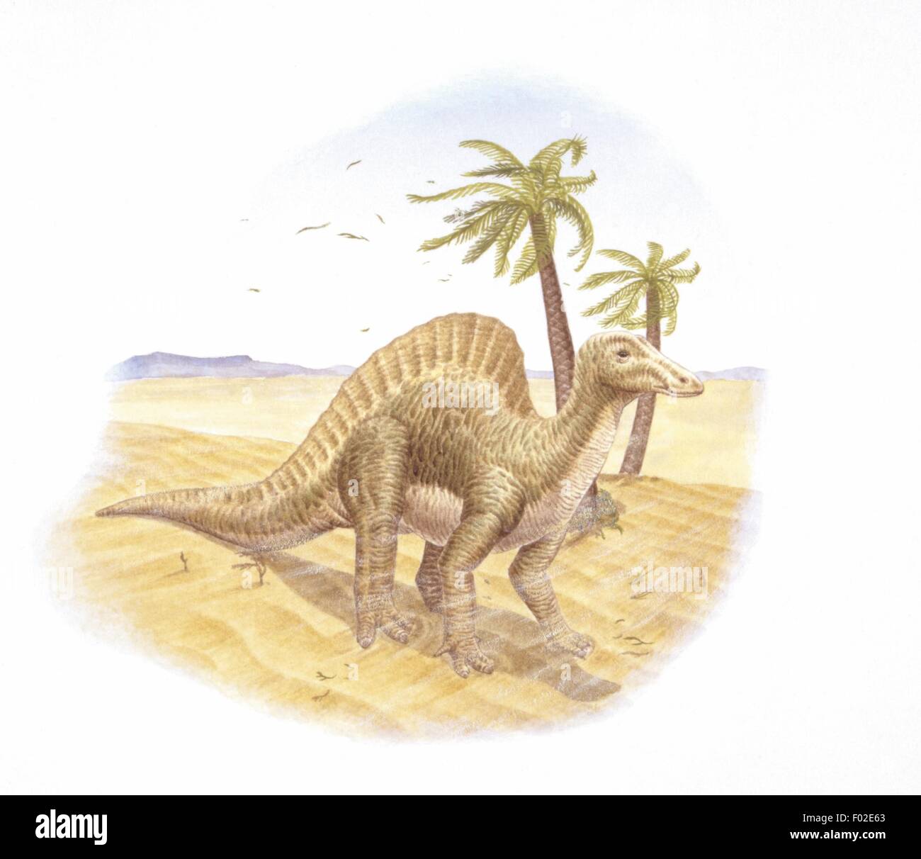 Zoopaleontologia - del periodo Cretaceo - i dinosauri - Ouranosaurus - opera d'arte Foto Stock