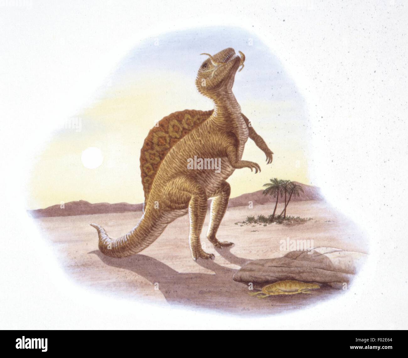 Zoopaleontologia - del periodo Cretaceo - i dinosauri - Spinosaurus - opera d'arte Foto Stock
