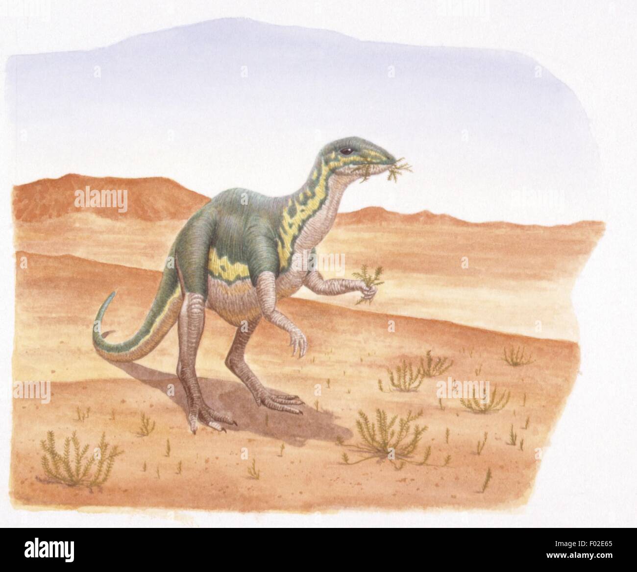 Zoopaleontologia - Giurassico - i dinosauri - Lesothosaurus - opera d'arte Foto Stock