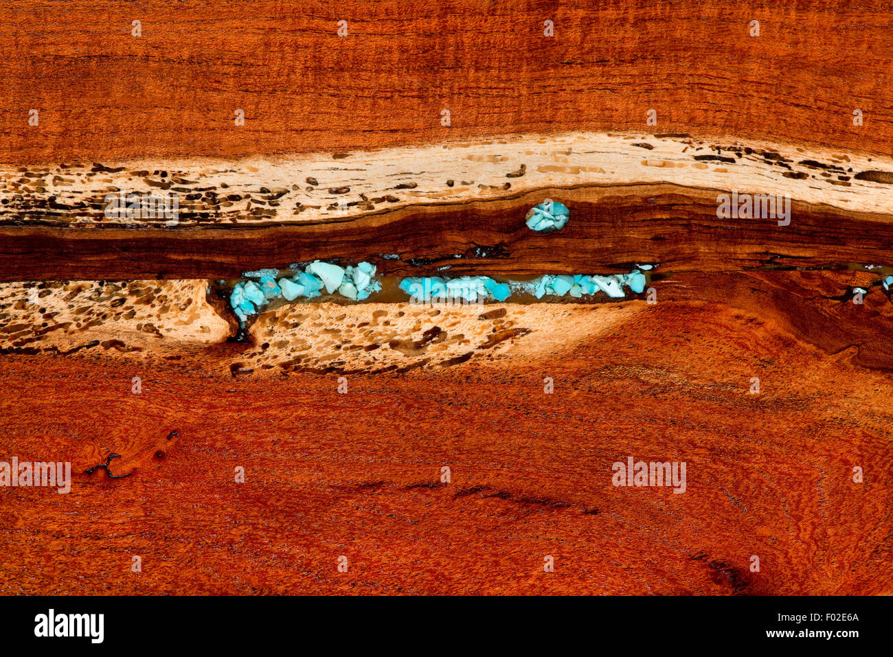 Burled redwood e inset blu sfondo turchese. Foto Stock