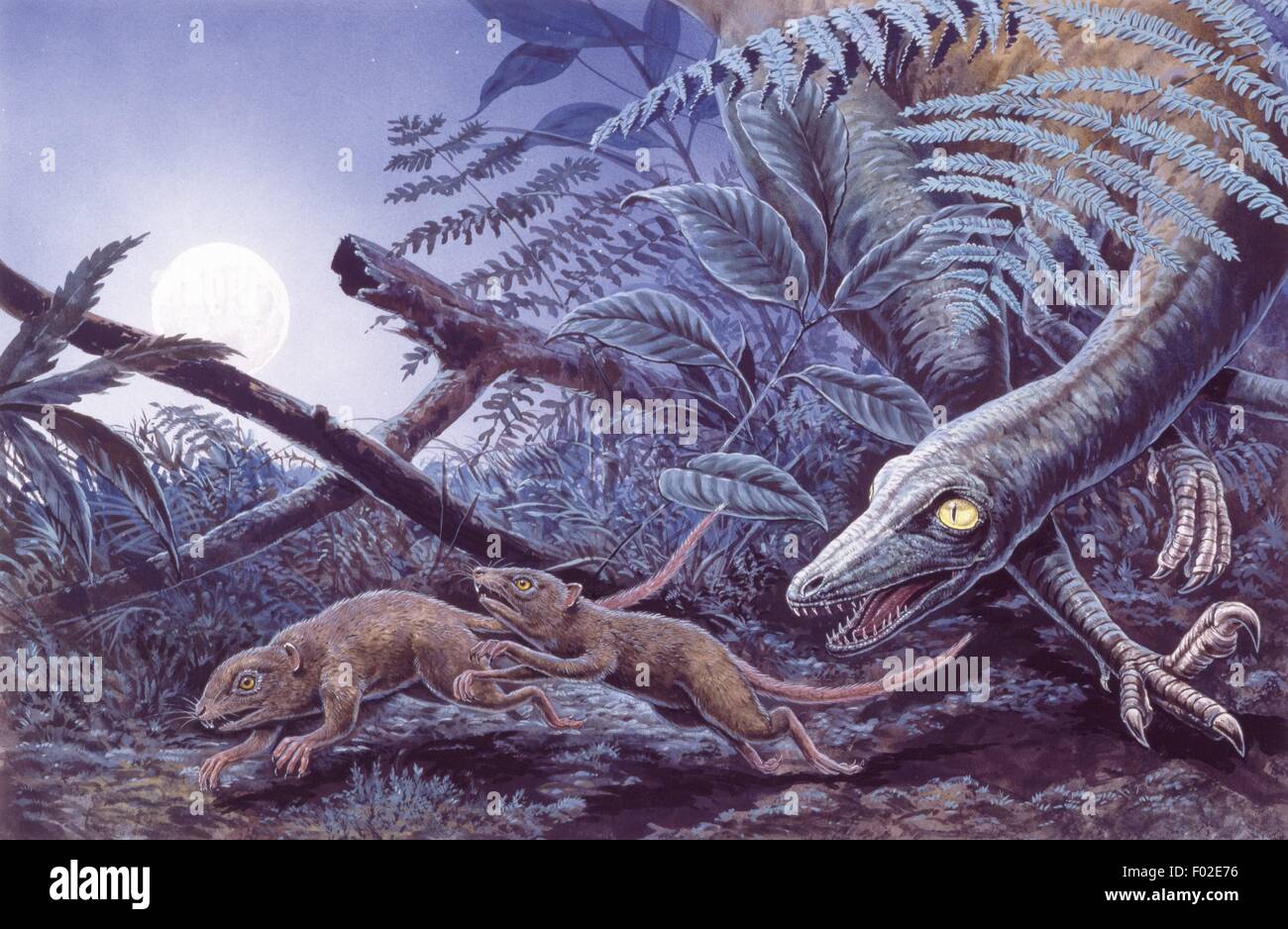 Zoopaleontologia - del periodo Cretaceo - i dinosauri - Troodon - opera d'arte Foto Stock