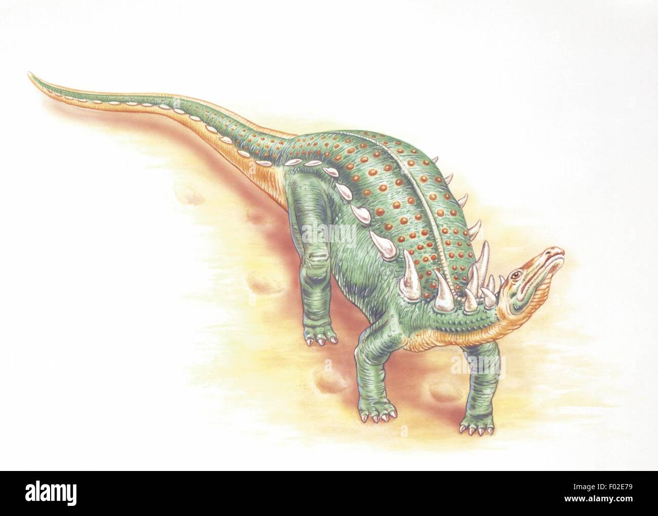 Zoopaleontologia - del periodo Cretaceo - i dinosauri - Sauropelta - opera d'arte Foto Stock