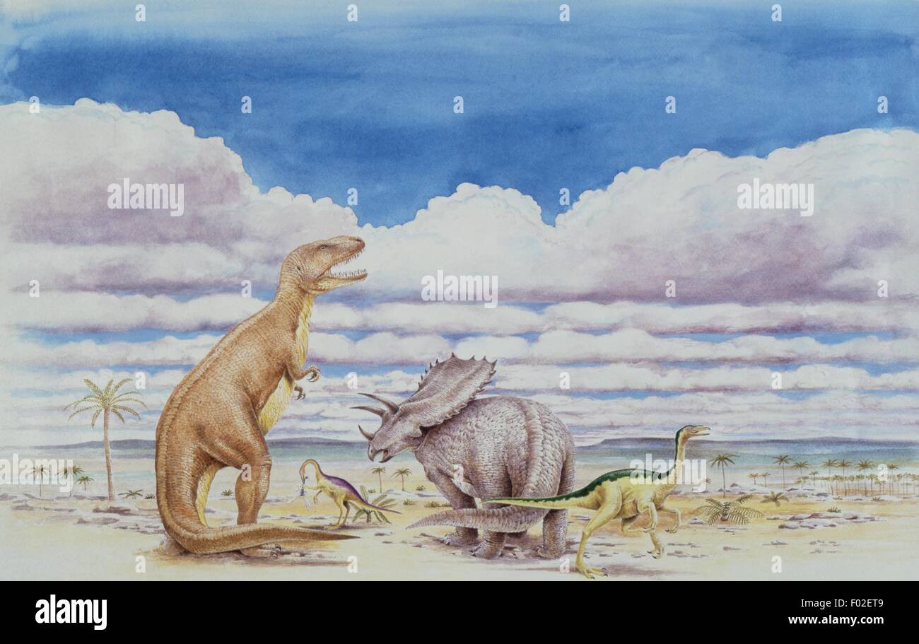 Zoopaleontologia - del periodo Cretaceo - i dinosauri - Daspletosaurus - opera d'arte Foto Stock