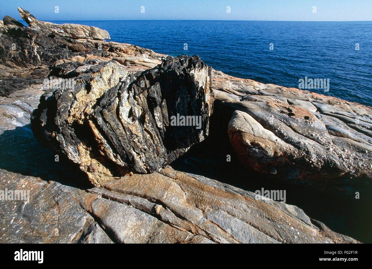 Rocce di porfido a Punta Rossa, l'Isola di Montecristo, Parco Nazionale Arcipelago Toscano, Toscana, Italia. Foto Stock