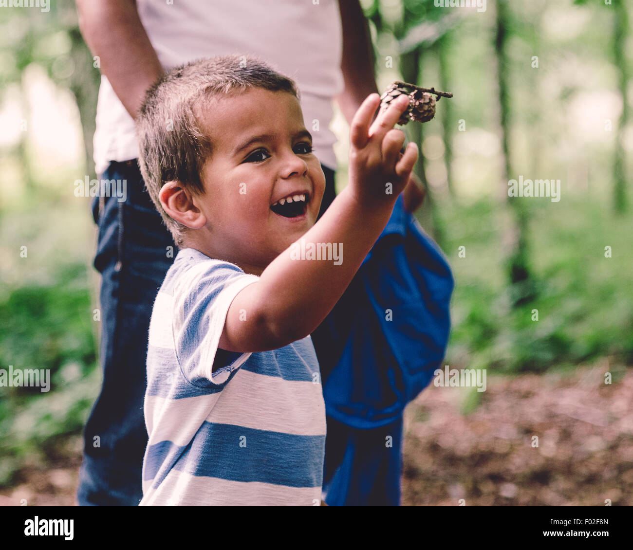 Ragazzo con padre tenendo premuto fino pigne Foto Stock