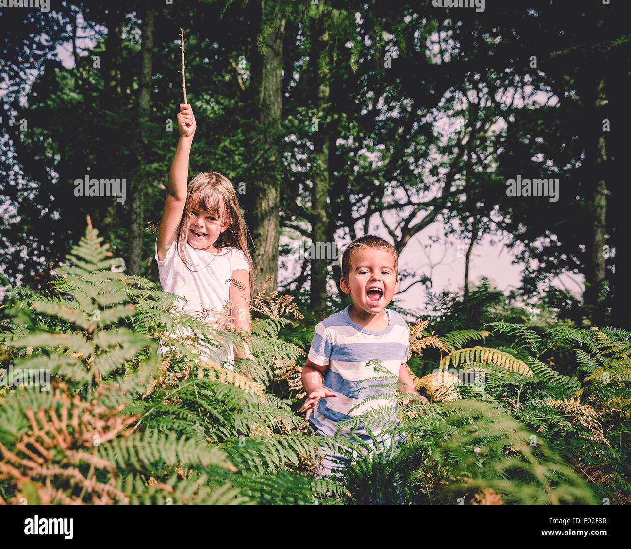Due bambini felici salta fuori da dietro le felci nella foresta Foto Stock