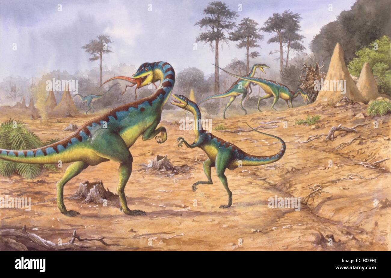 Zoopaleontologia - periodo triassico - i dinosauri - Liliensternus - Arte lavoro di Peter David Scott Foto Stock