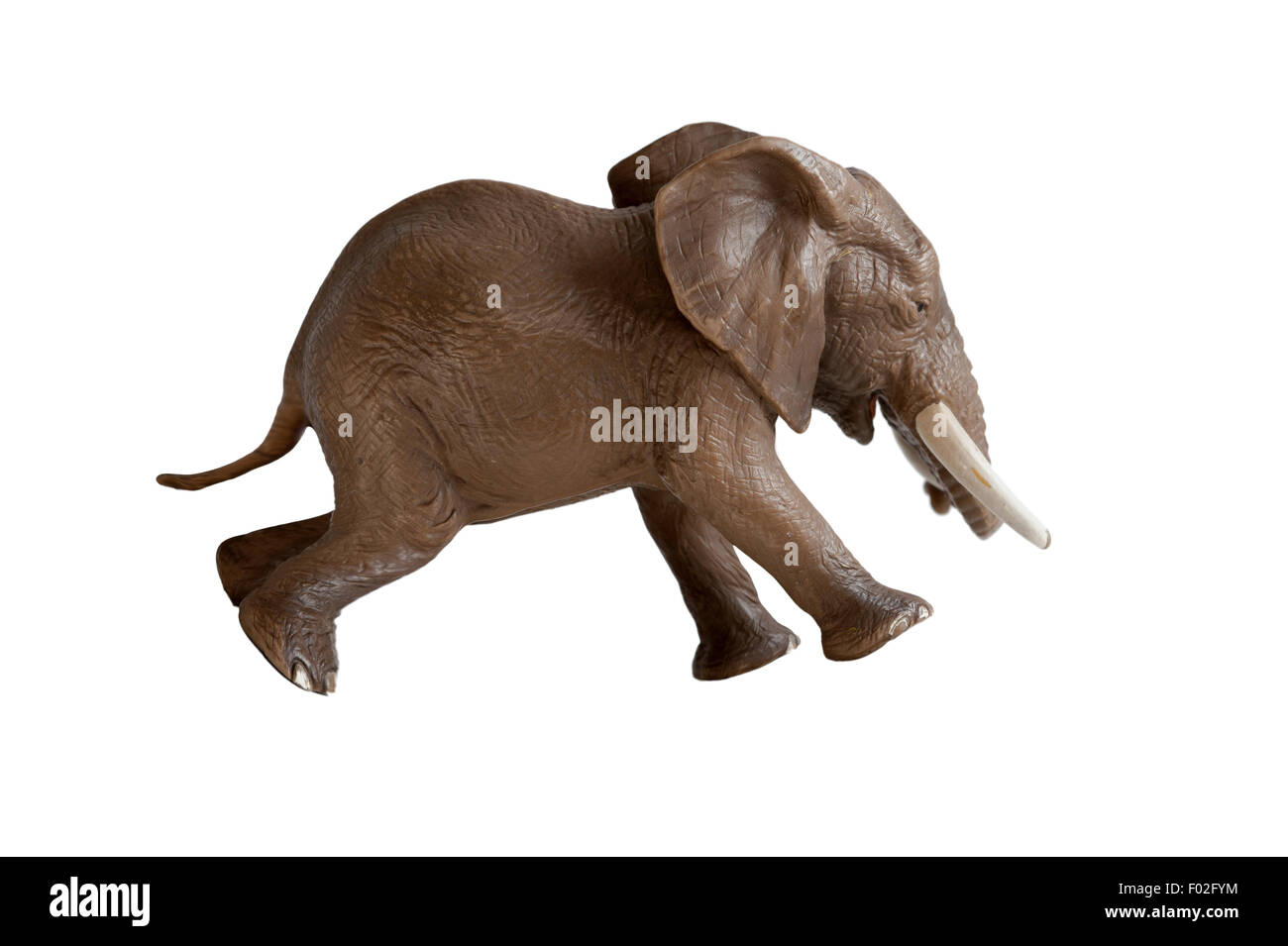 Elefante in esecuzione sullo sfondo bianco isolato Foto Stock