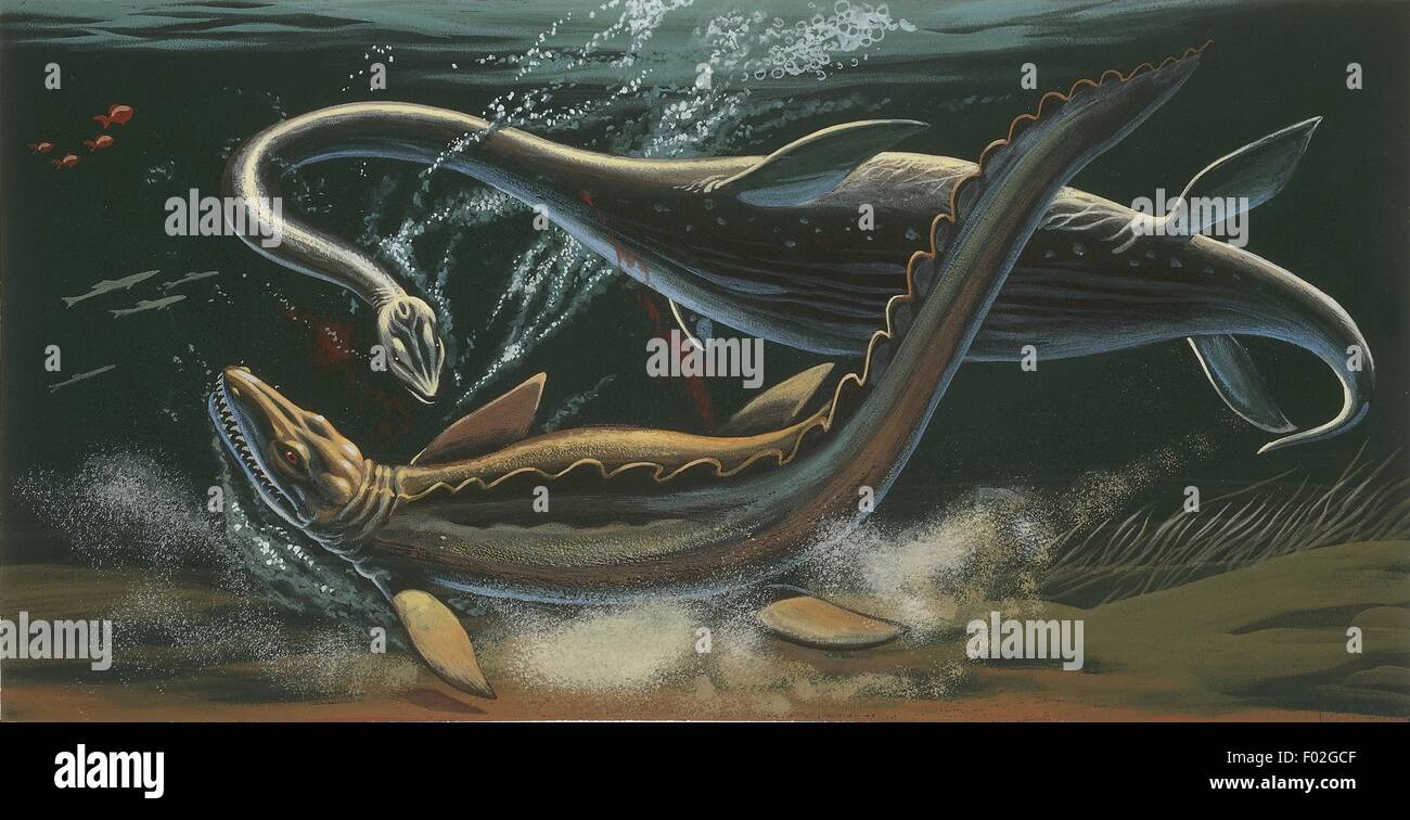 Preistorici animali marini, vista subacquea, illustrazione Foto Stock