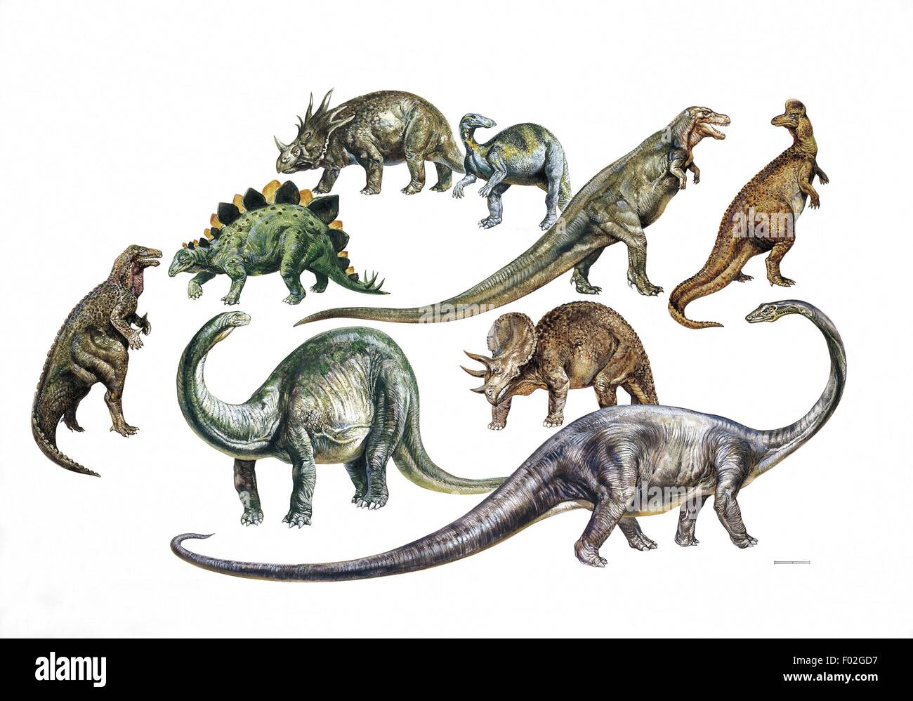 Vari i dinosauri, illustrazione Foto Stock