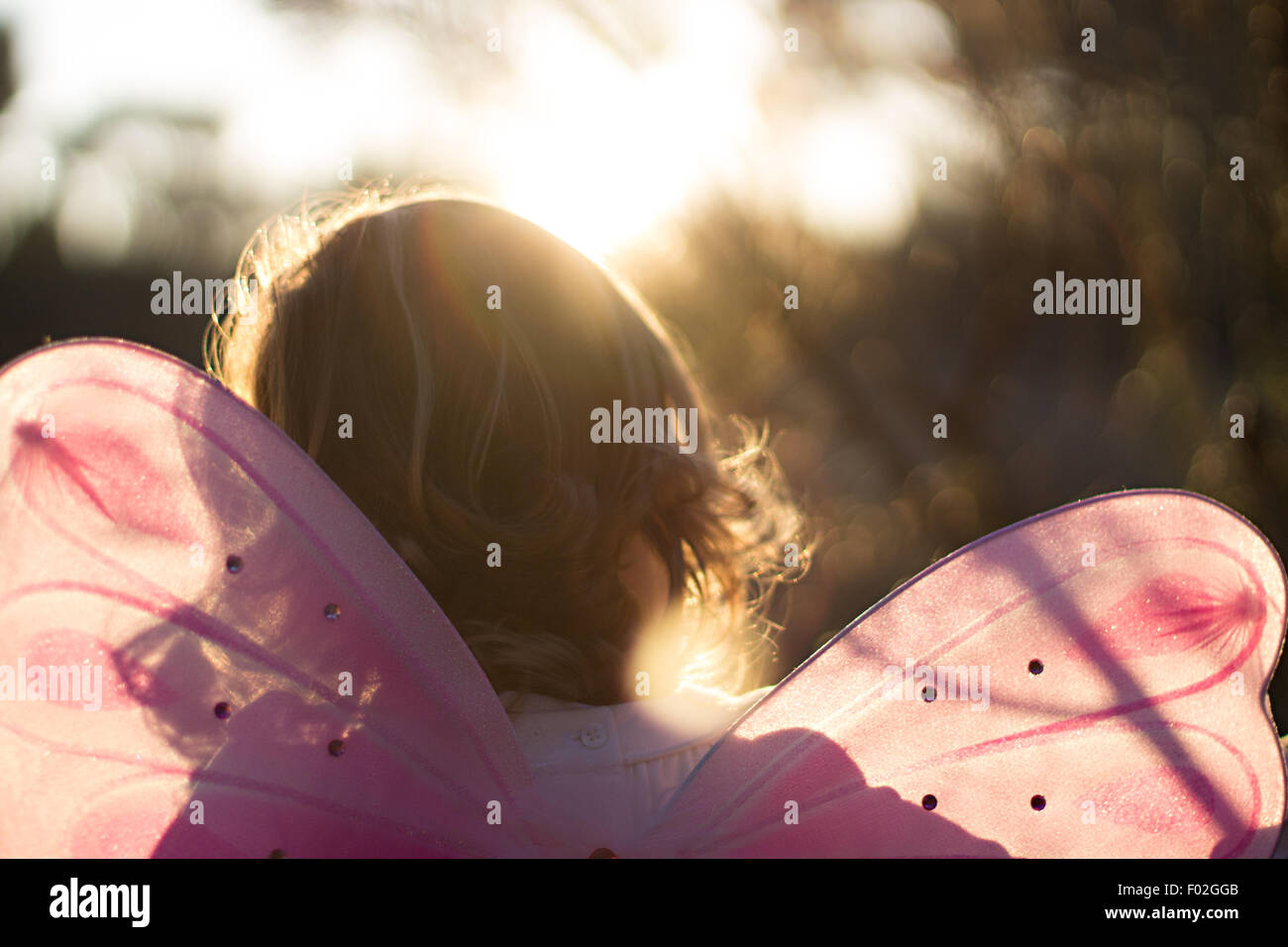 Vista posteriore di una ragazza in un costume di fata Foto Stock Vista posteriore di una ragazza in un costume di fata Foto Stock