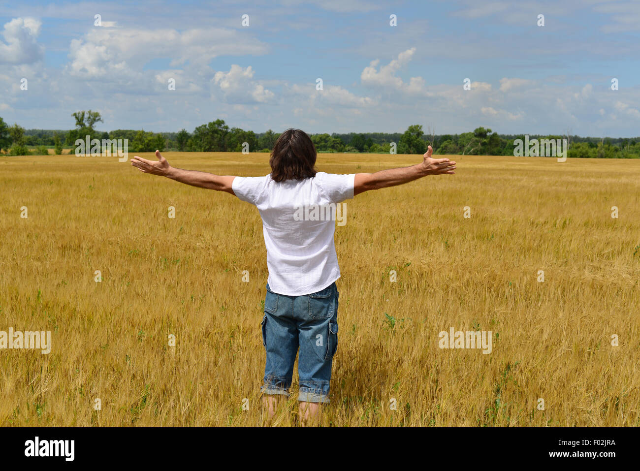 Un uomo si erge sul campo di segale Foto Stock