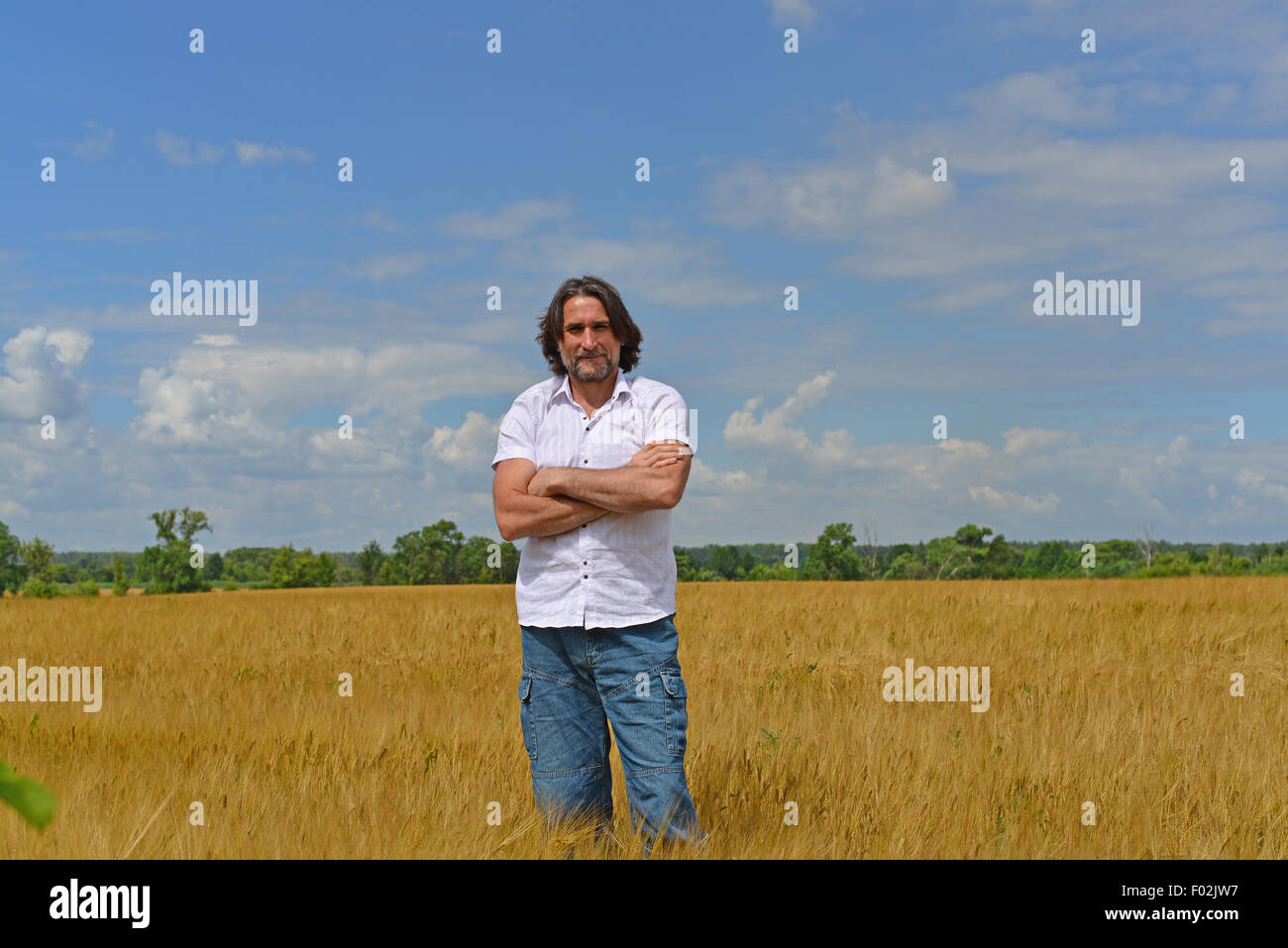 Un uomo si erge sul campo di segale Foto Stock