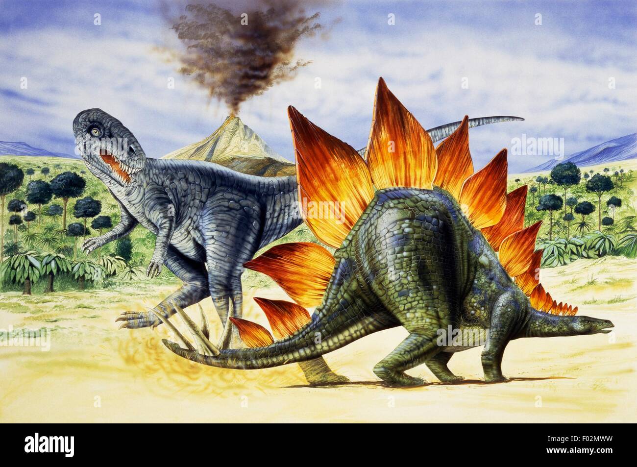 Zoopaleontologia - Superiore Giurassico - i dinosauri - Stegosaurus - opera d'arte Foto Stock