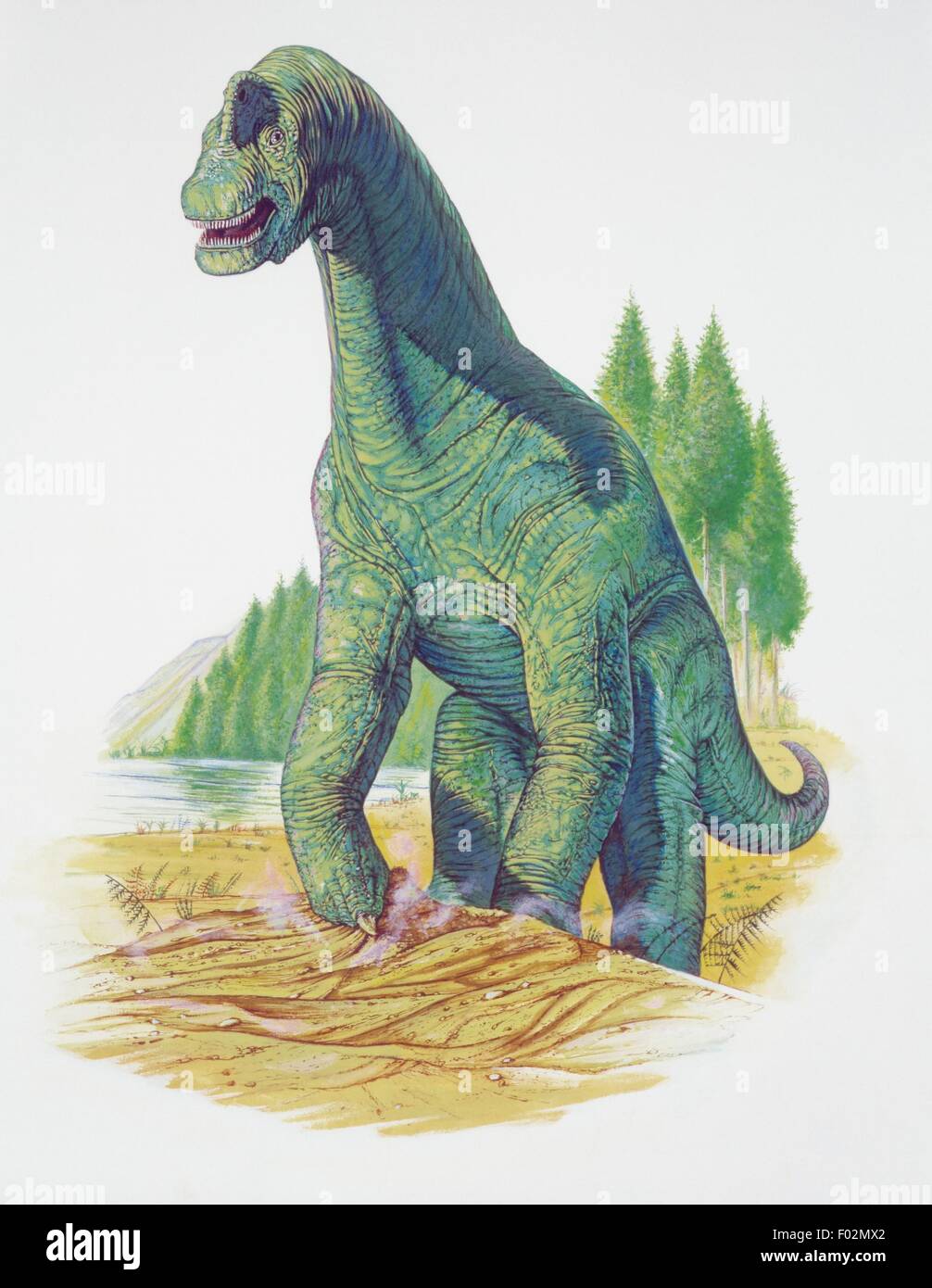 Zoopaleontologia - Giurassico superiore - i dinosauri - Brachiosaurus - opera d'arte Foto Stock