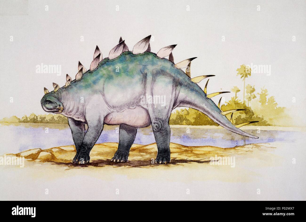 Dacentrurus armatus, Stegosauridae, Late Jurassic. Illustrazione. Foto Stock