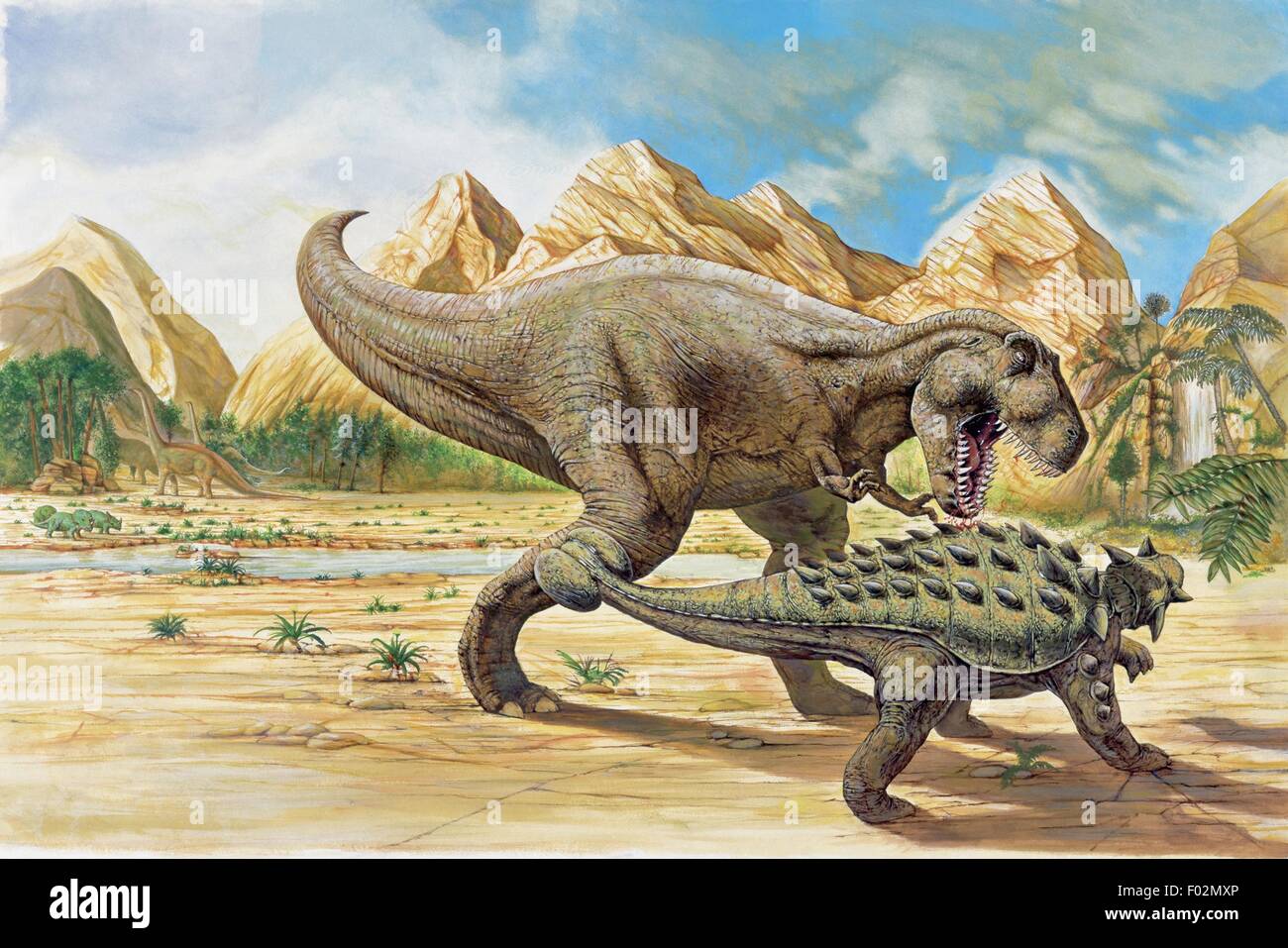 Zoopaleontologia - del periodo Cretaceo - i dinosauri - Tyrannosaurus rex e Euoplocephalus. Opera d'arte Foto Stock
