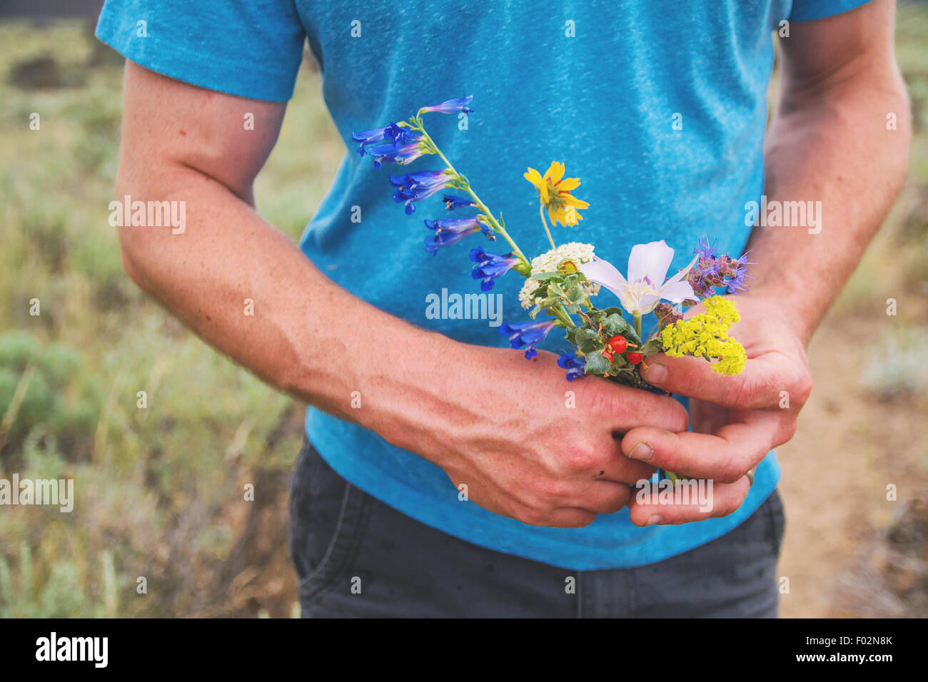 Uomo in piedi in un prato che tiene appena raccolti fiori selvatici, Stati Uniti Foto Stock