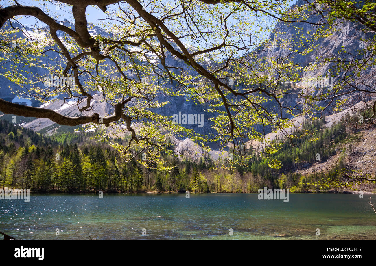 Bellissimo lago di montagna nelle Alpi austriache Foto Stock