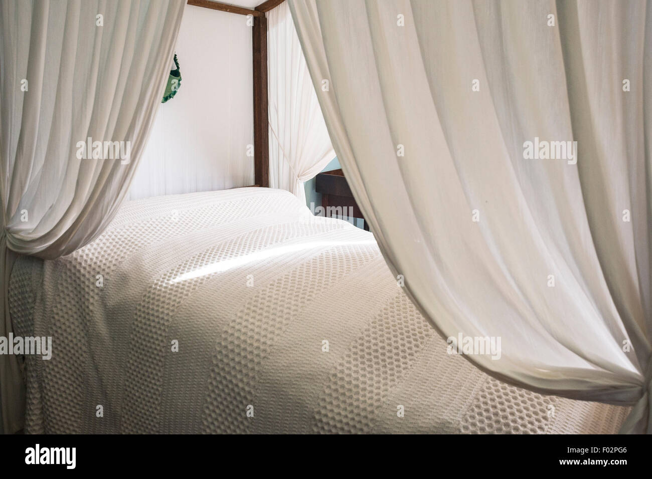 Tenda di un fourposter bed, Elizabeth Bay House, Potts Point, Sydney, Australia Foto Stock