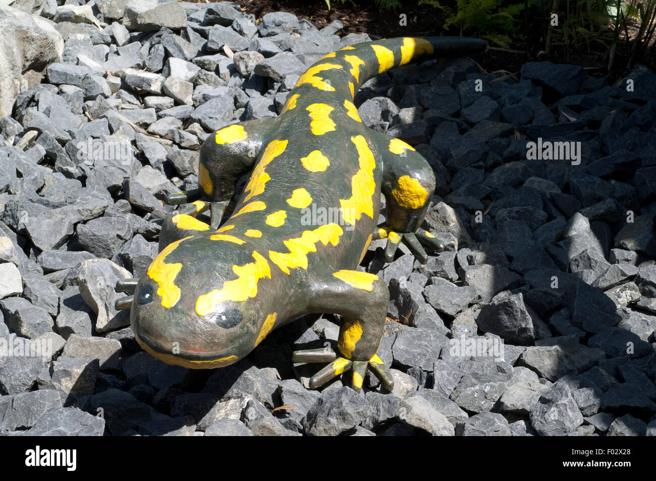 Feuersalamander, Salamander, Gartendekoration, Foto Stock