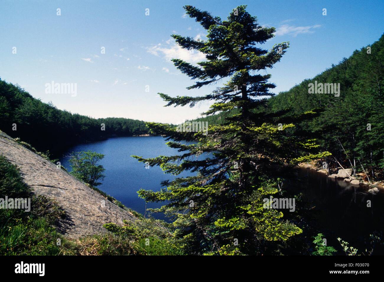 Vista di uno dei Laghi Gemini (Twin Lakes), Appennino Tosco-emiliano, Emilia Romagna, Italia. Foto Stock