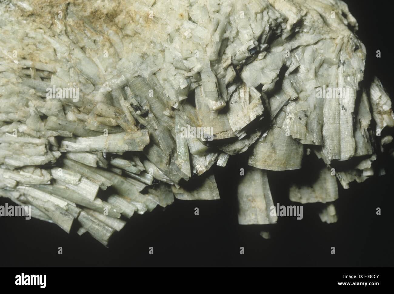 Biotite, close-up Foto Stock