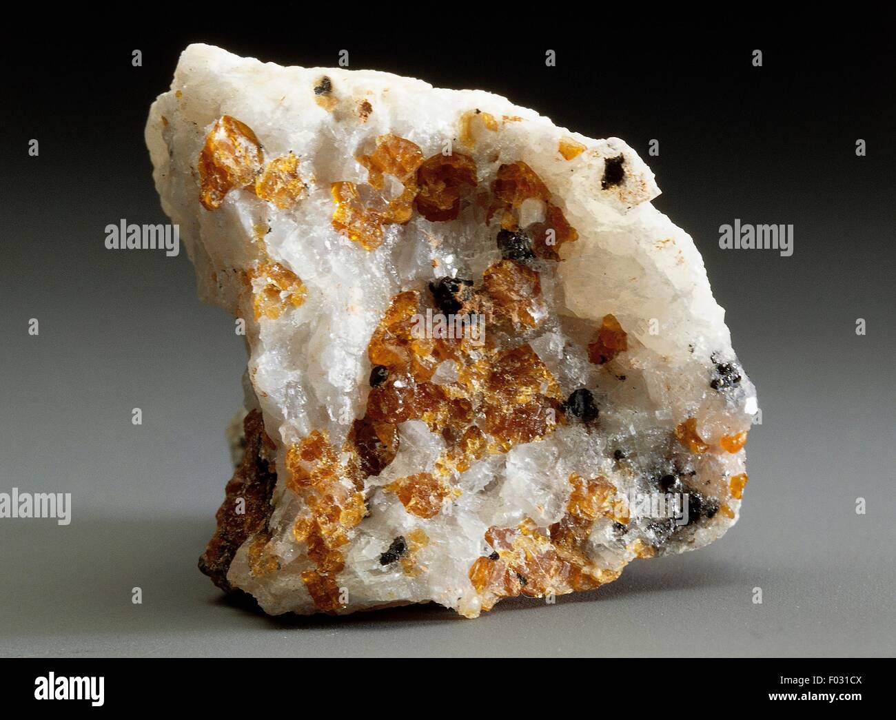 Marmo Cipollino, cristallino roccia calcarea, dal Madagascar. Foto Stock