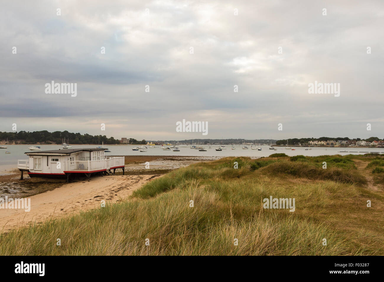 Shell Bay Studland Poole Dorset Foto Stock