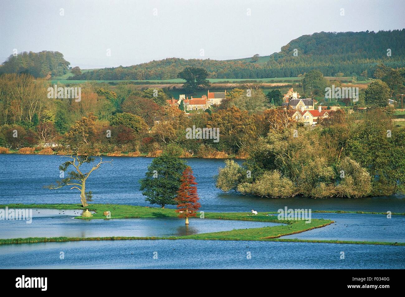 Vista sul parco del castello Howard country residence, North Yorkshire, Inghilterra, Regno Unito. Foto Stock