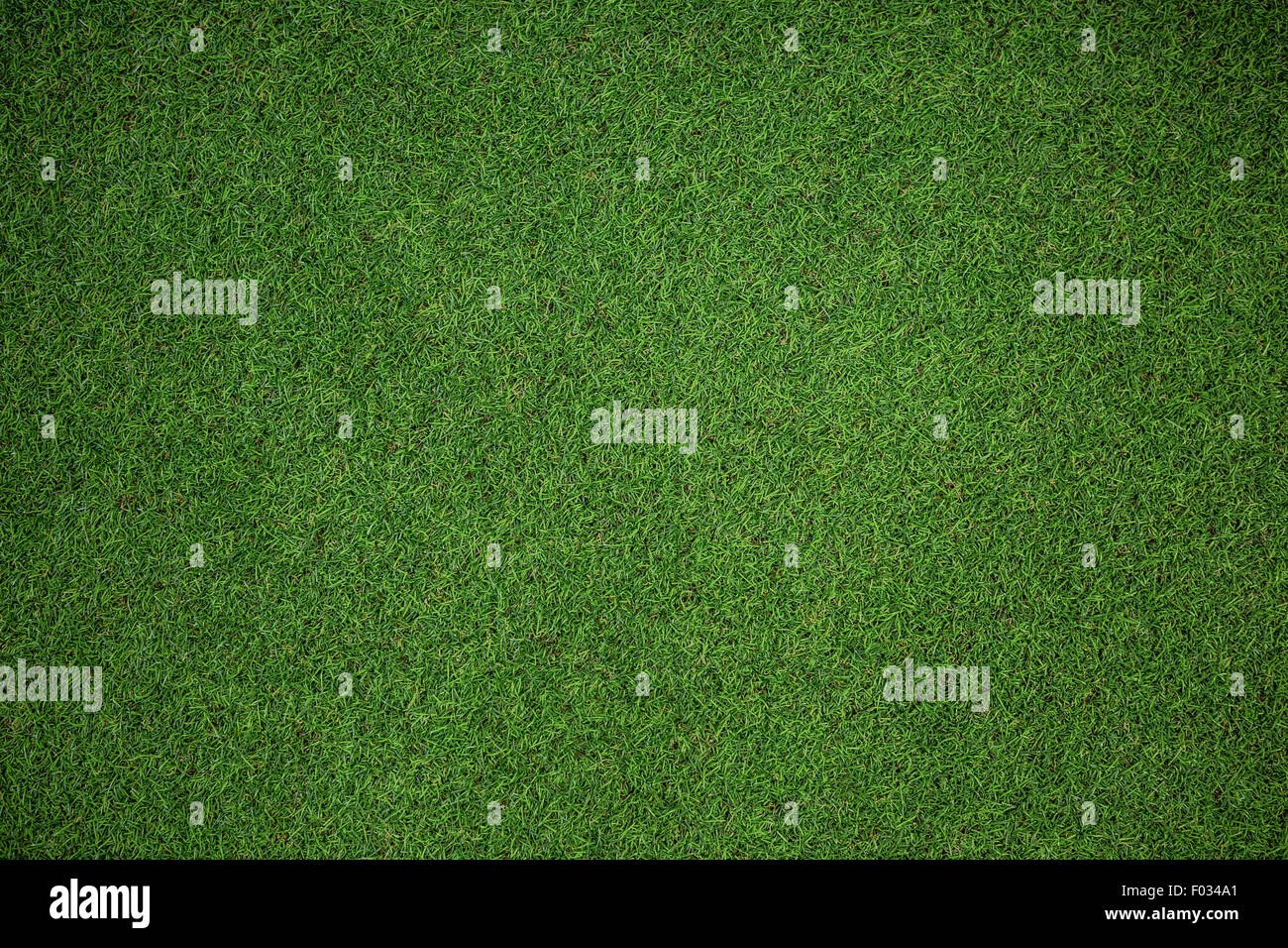 Vista ravvicinata di astro turf Foto Stock