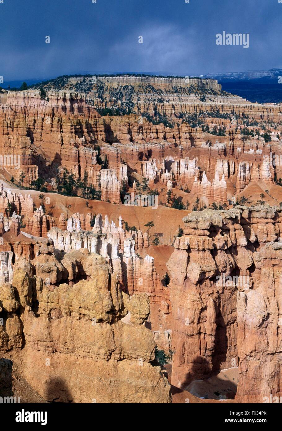 Effetti di erosione nel Parco Nazionale di Bryce Canyon, Utah, Stati Uniti. Foto Stock