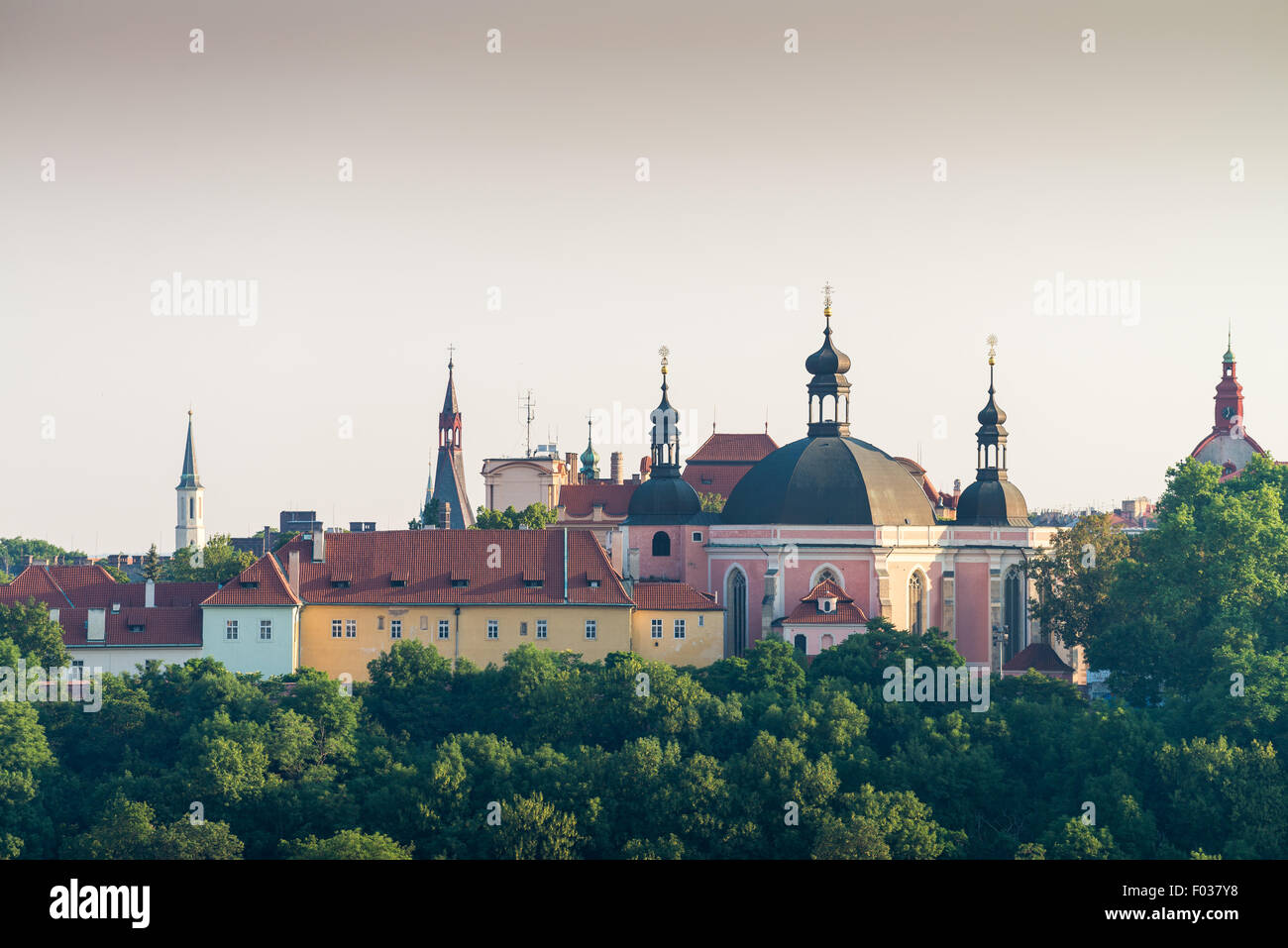 Kostel Nanebevzetí Panny Marie un svateho Karla Velikeho na Karlove, Nove Mesto, Praha, Ceska republika Foto Stock