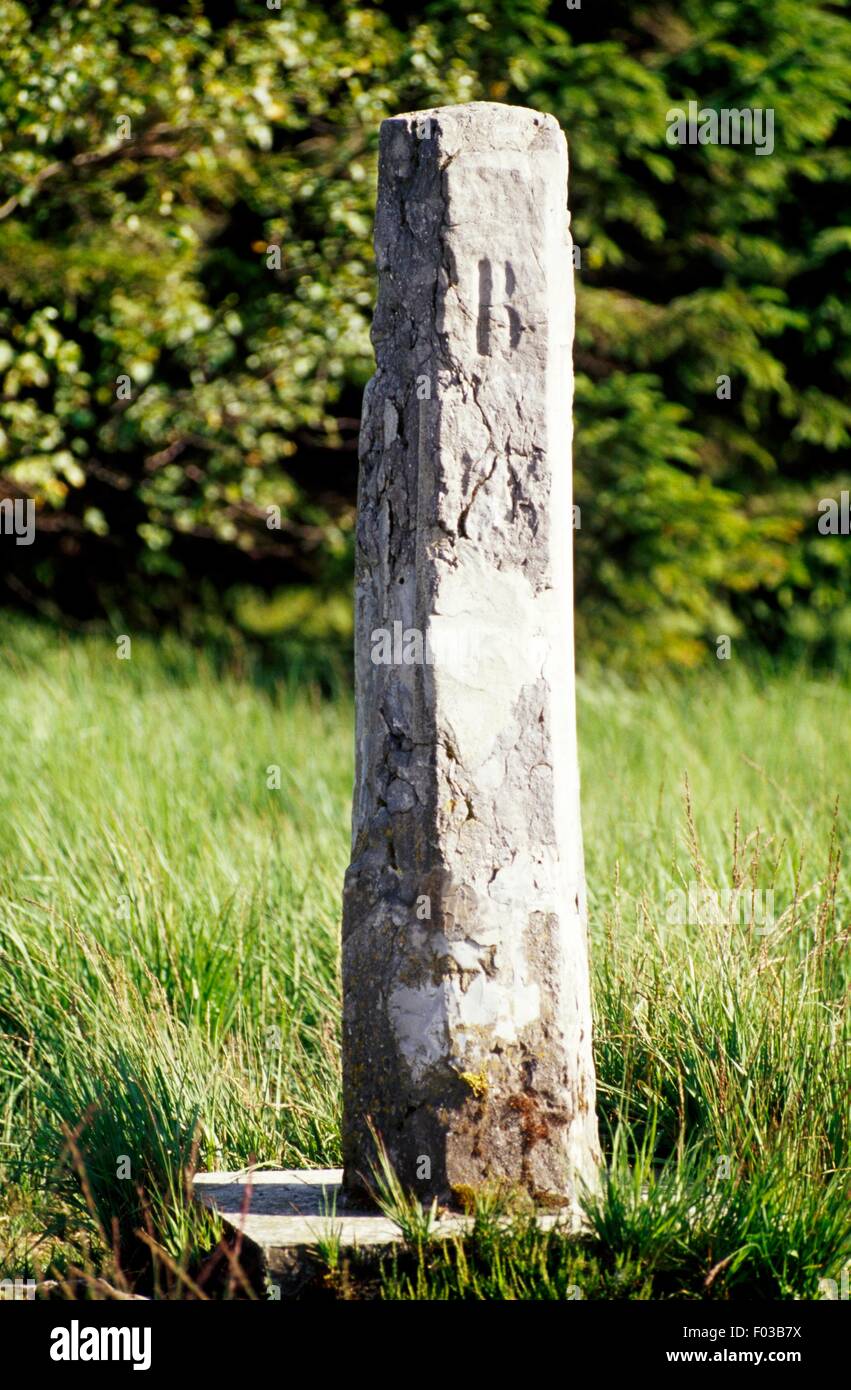 Colonne in pietra che segna il confine tra Belgio e Germania, Hautes Fagnes Riserva Naturale (Riserva Naturelle des Hautes Fagnes), Ardenne, Belgio. Foto Stock