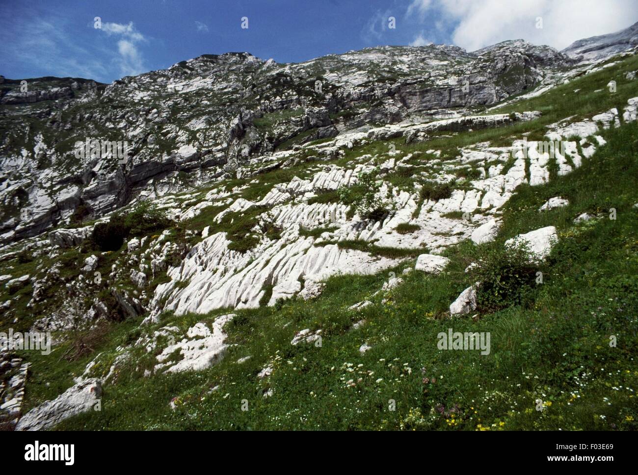 Caratteristiche carsiche, Valbona Pass, Veneto, Italia. Foto Stock