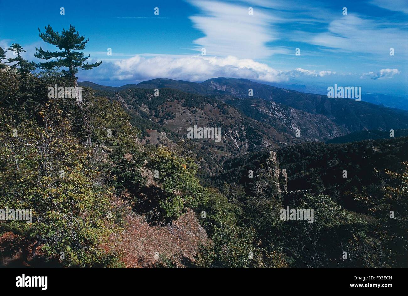 Polsi Valley, il parco nazionale dell'Aspromonte, Calabria, Italia. Foto Stock