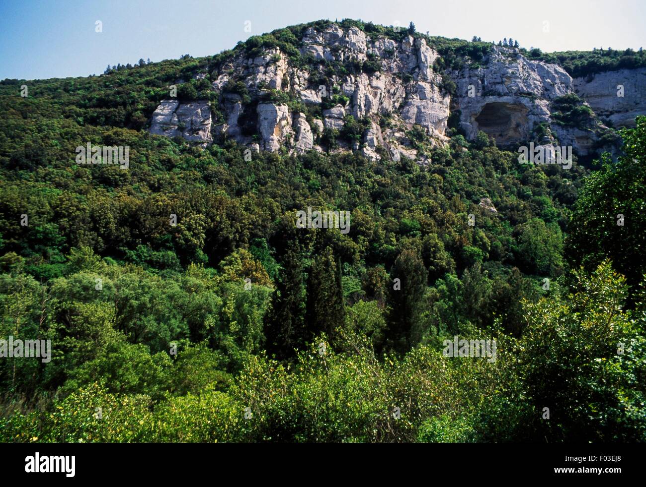 Forest e scogliere, Pantalica Riserva Naturale Valle Anapo, Torrente Cava Grande, Sicilia, Italia. Foto Stock