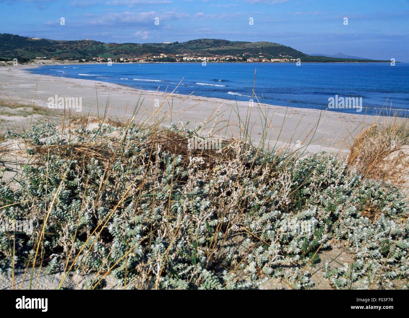 Salina Manna Beach, San Teodoro, Sardegna, Italia. Foto Stock