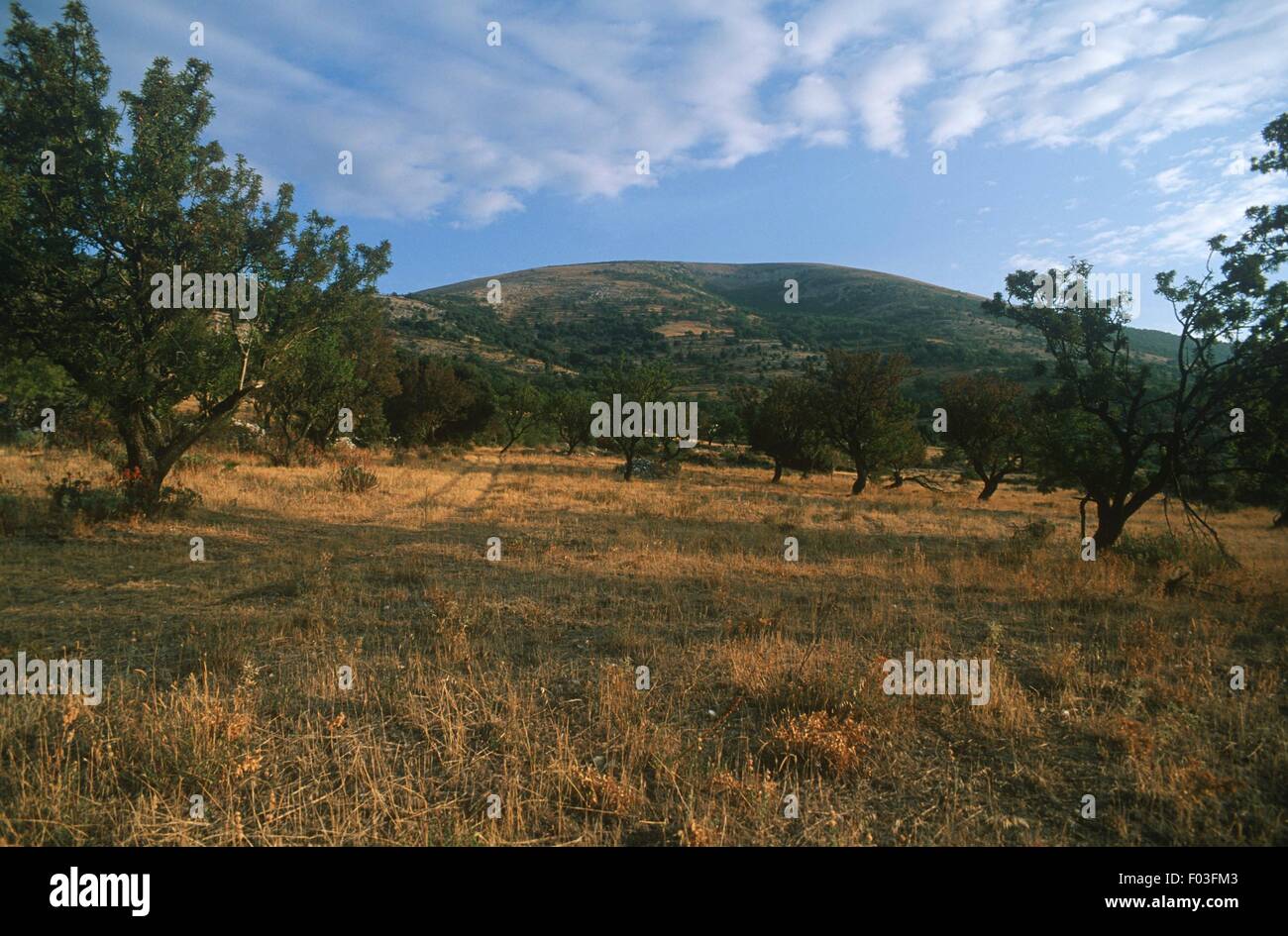 Italia - Regione Puglia - Parco Nazionale del Gargano - Monte Calvo visto da di Sant'Egidio Foto Stock