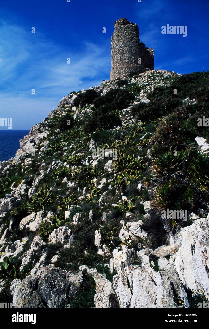 Capo Rama, Torre di Capo Rama Riserva Naturale, Sicilia, Italia Foto stock  - Alamy