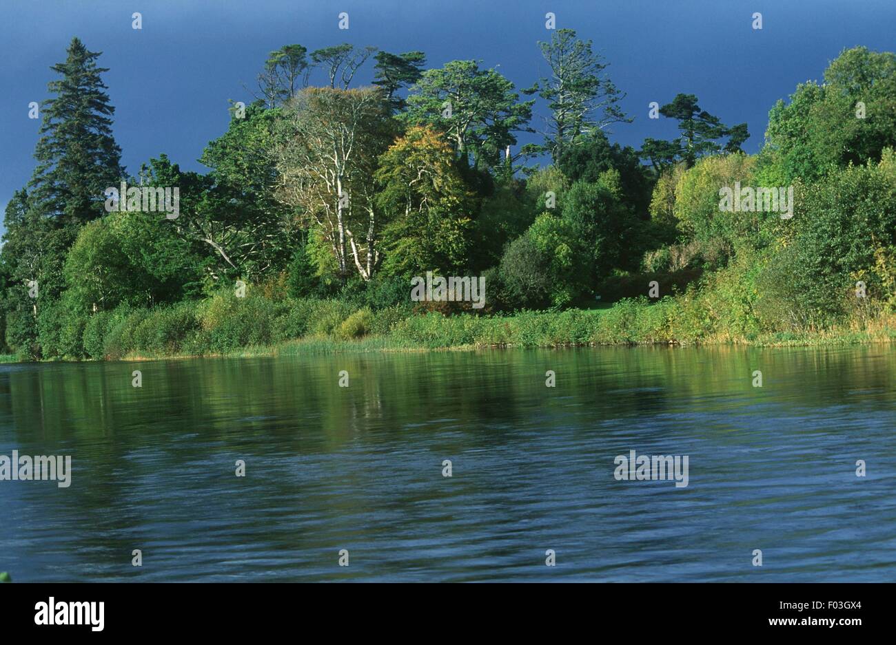 Irlanda, provincia di Connaught, nella contea di Mayo, nei dintorni del villaggio di Cong, breve canale laghi di collegamento: Maschera (Lough Mask) e Corrib (Lough Corrib) Foto Stock