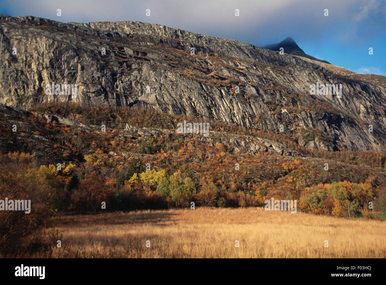 Un tratto di De Syv sostre (le Sette Sorelle) Mountain Range, isola di Alsten, Nordland County, Norvegia. Foto Stock