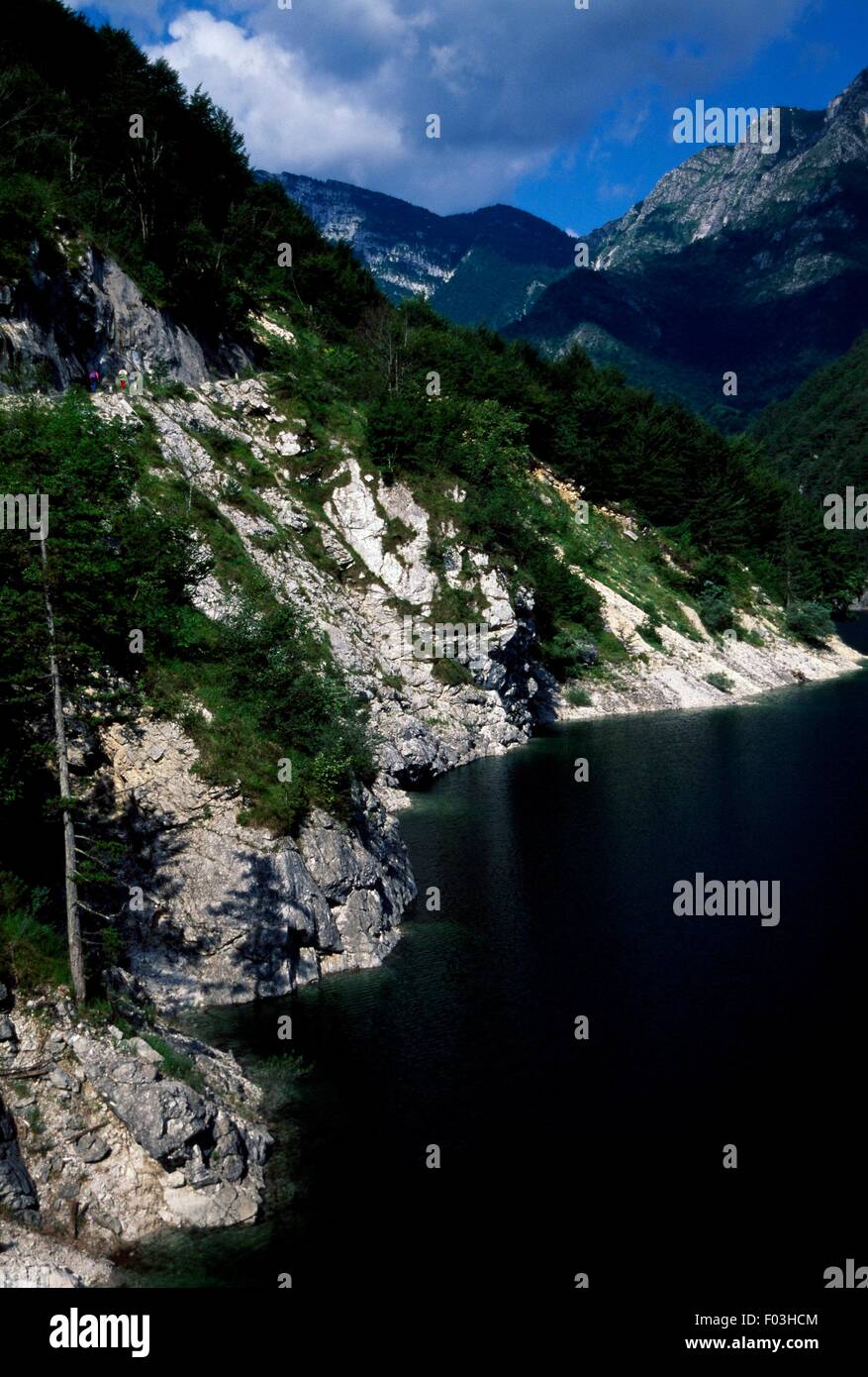 Lake Forest, Parco Naturale Regionale delle Dolomiti Friulane, Friuli Venezia Giulia, Italia. Foto Stock