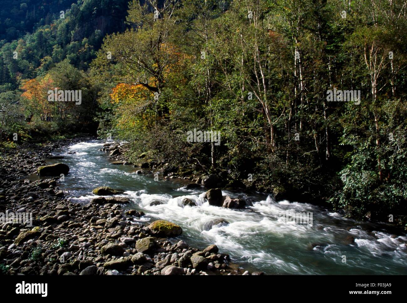 Il fiume Ishikari in Sounkyo Gorge, Daisetsuzan National Park, Hokkaido, Giappone. Foto Stock