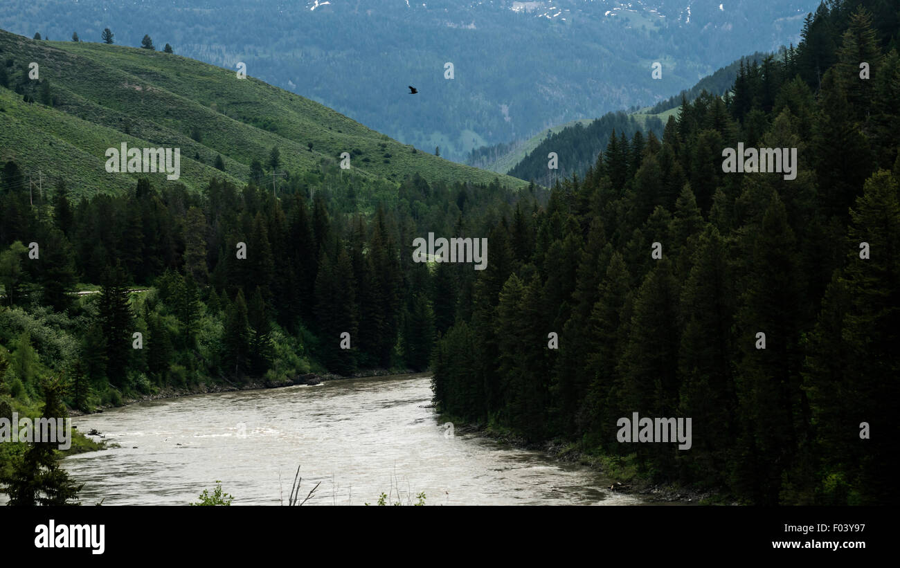 Wyoming paesaggio con fiume di sale, STATI UNITI D'AMERICA Foto Stock