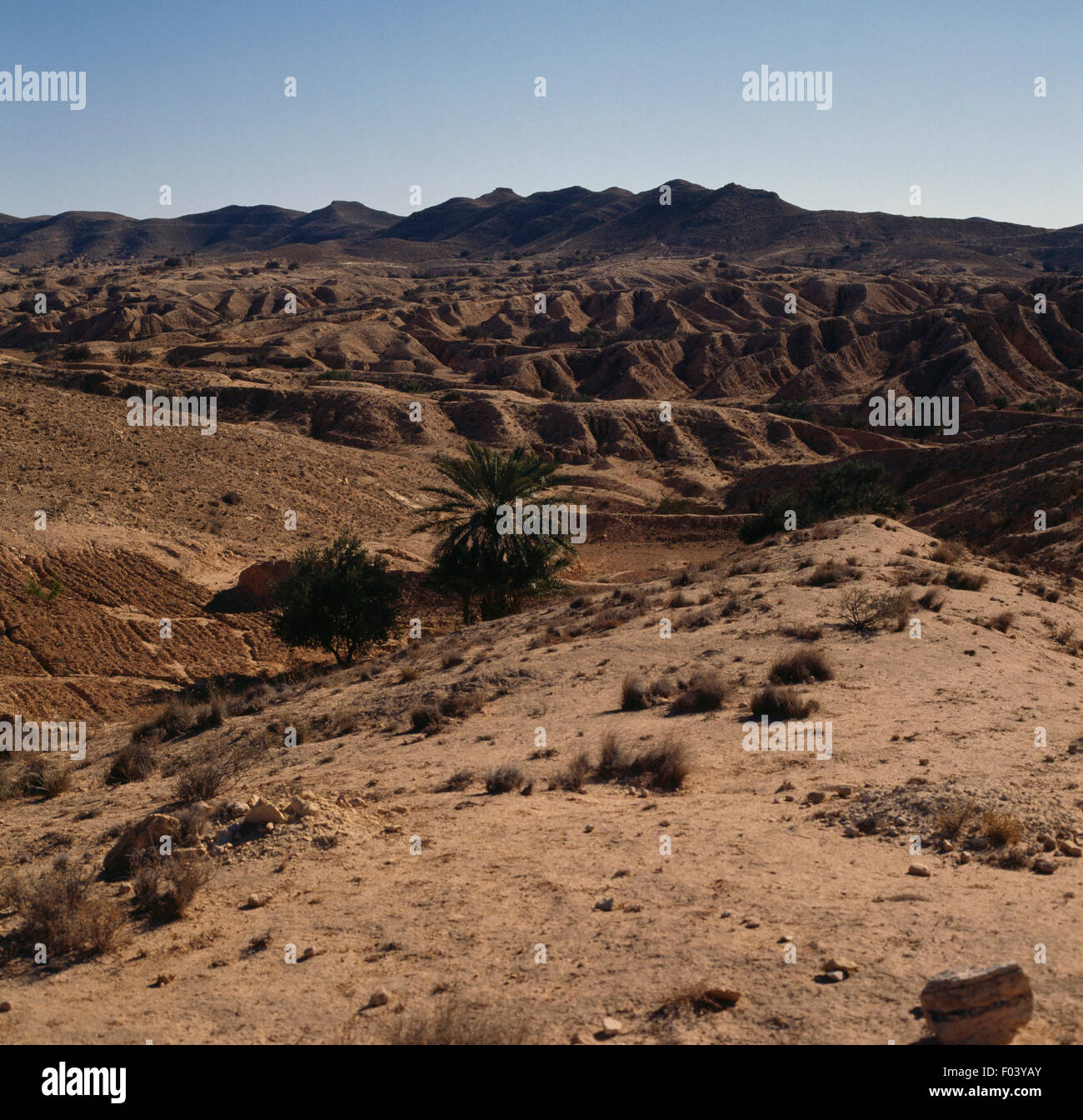 Paesaggio vicino al villaggio Berbero di Matmata, il Deserto del Sahara, Tunisia. Foto Stock
