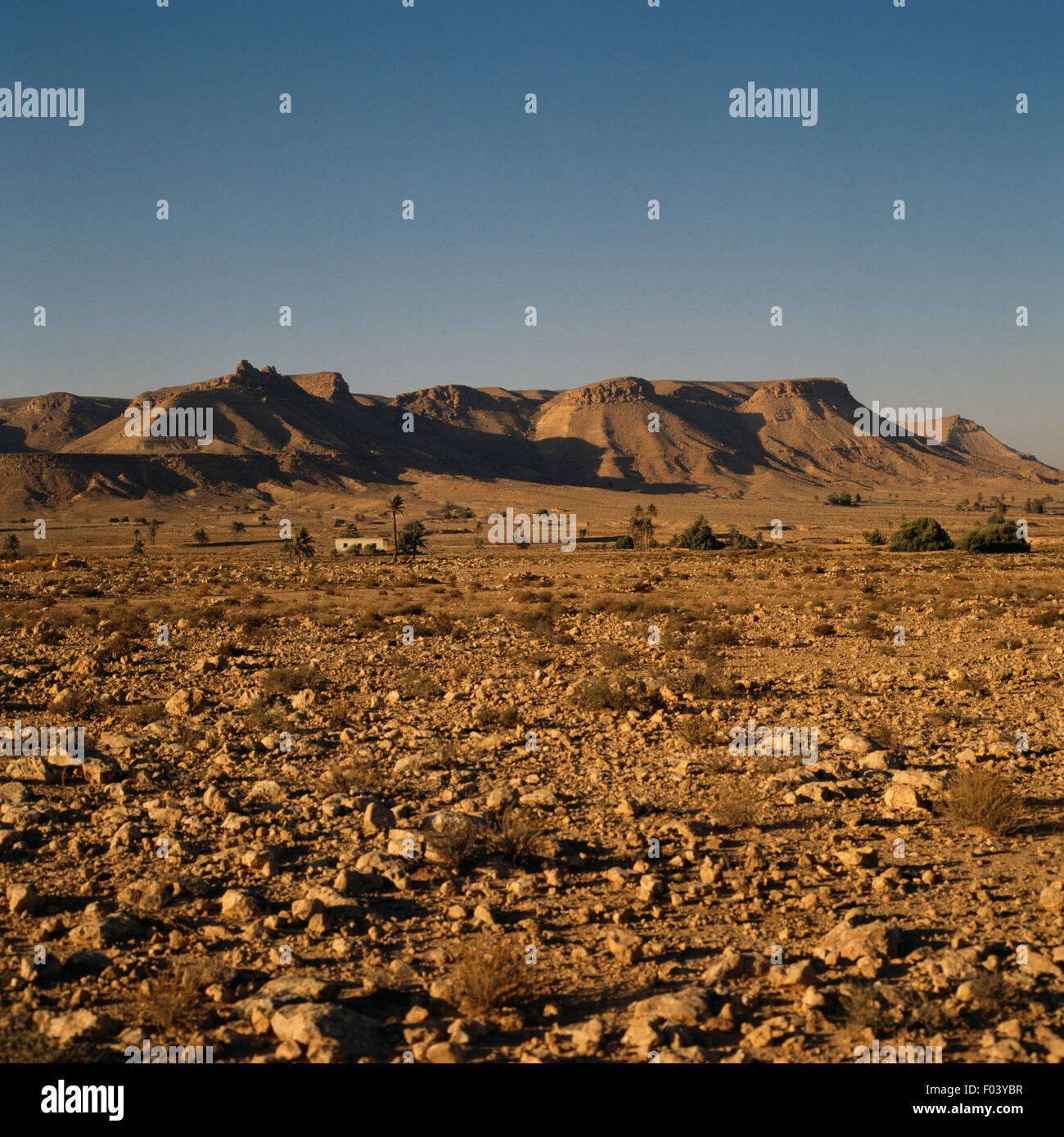 Arido paesaggio vicino il Chott el Djerid, Salt Lake, Tunisia. Foto Stock