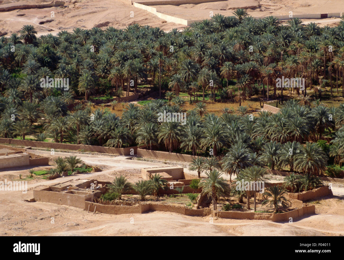 Il Palm grove, Al-Mani'a o El Golea oasi, Algeria. Foto Stock