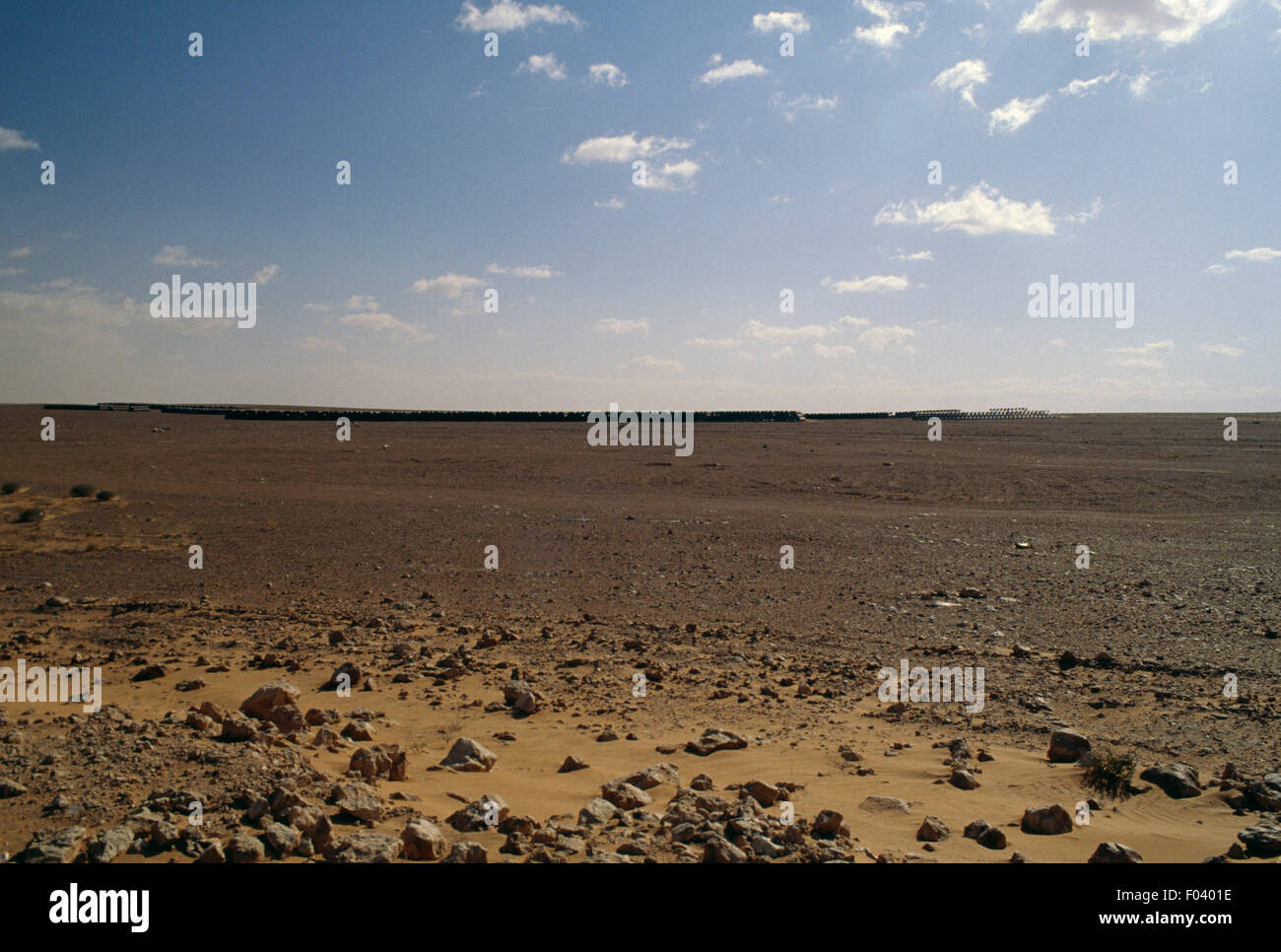 Deserto roccioso, nei pressi di Ouargla, il Deserto del Sahara, Algeria. Foto Stock