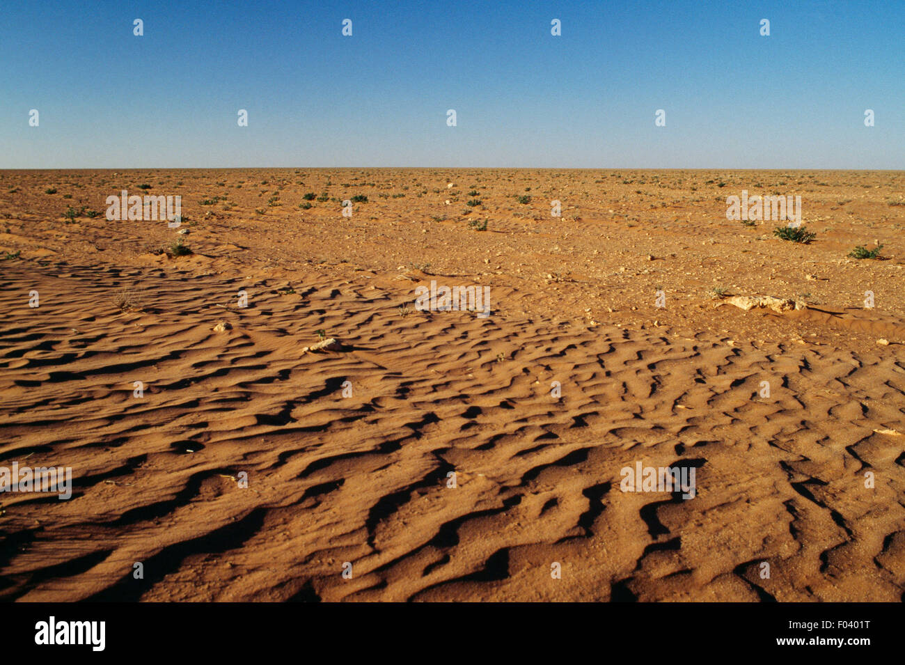 Il deserto del Sahara vicino a Bechar, Algeria. Foto Stock